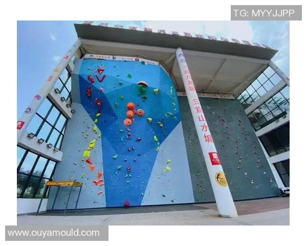 杭州攀岩队实力强劲最新攀岩个人能力排名前十揭晓