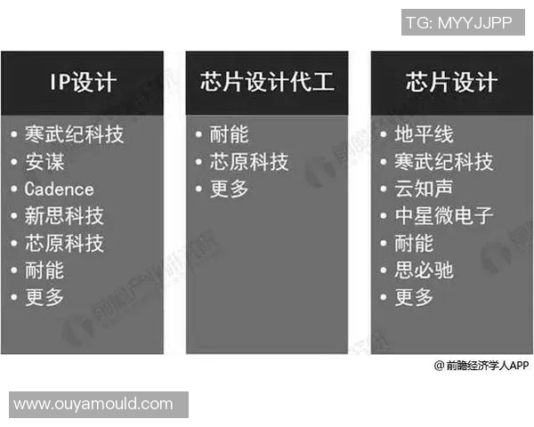 竞技体育发展现状与未来趋势分析：从传统项目到新兴运动的全面探讨
