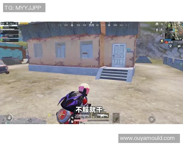 探索和平精英成功背后的秘密与刘芳的深度对话 探索和平精英成功背后的秘密与刘芳的深度对话